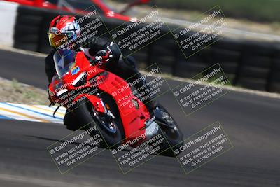 media/Jun-07-2025-TrackDaz (Sat) [[4413525952]]/B Group/1220pm (Turn 1)/